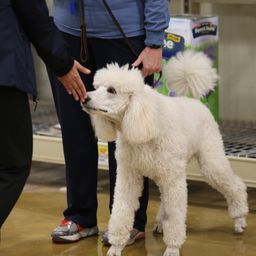 photograph by PeterW